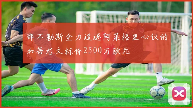 那不勒斯全力追逐阿莱格里心仪的加蒂尤文标价2500万欧元